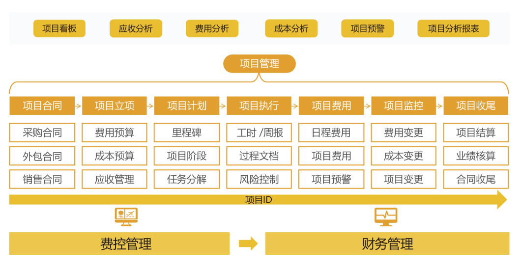 项目治理